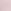 Pink Tulip