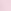 Pink Tulip