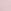 Pink Tulip