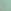SEASALT GREEN