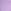 Jasmine Purple