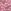 Lilac Pink Tokyo