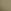 Desert Cactus Green