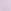 Delicate Violet Purple