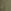 Desert Cactus Green
