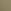 Desert Cactus Green