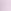 Delicate Violet Purple