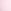 Pink Tulip