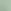 SEASALT GREEN