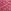 Pink Dahlia Dot