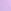 Purple Petal Purple