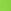 Bloom Green