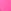 Pink Radiant Rose