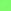 Neon Green