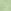 Green Dino