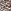 Leopard Brown Basic Instincts