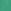 Green Embroidered