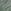 Faded Sage Green Script