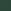 Canal Mallard