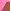 Hollywood Pink