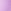 Petal Purple