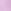 Petal Purple