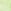Icy Lime Green