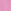 Pink Bloom Wash