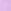 Petal Purple