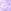 Purple Petal Floral