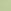 Soft Jade with Embroidery Green