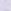 Purple Lilac