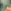 Khaki Green Tractor