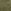 Natural Beige/Moss Green