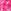 Pink Dog Plaid