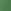 Forest Pine Green