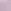 Purple Lilac