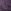 Midnight Purple