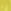 Yellow Shark