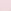 Pink Tulip