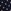 Navy Blue Floral Print