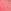 Wild Salmon Pink Lace Trim