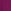 Rhubarb Purple