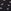 Noir Navy Blue Floral Print