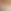 Praline Nude