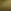 Green Chameleon