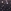 Into the Night