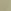 Fall Sage Green