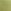 Sparkling Lime Green