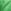 Wild Green